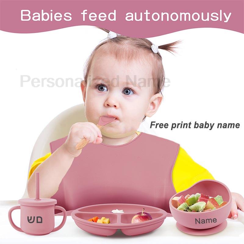 Conjunto de alimentação de beb - Baby Food Grater avaliação e preço